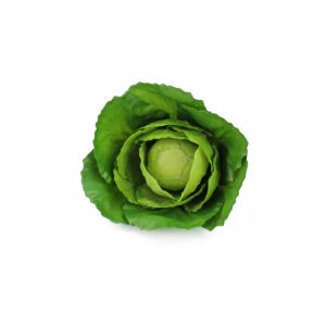 FR001 - Artificial Food - Lettuce