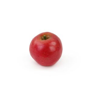 FR004 - Artificial Fruit - Apple