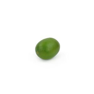 FR008 - Artificial Fruit - Lime